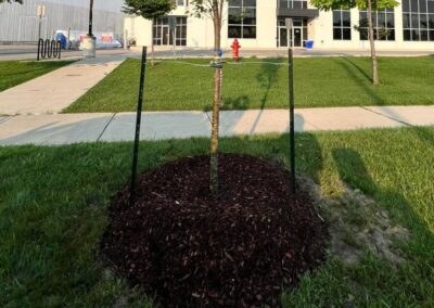 Landscaping Projects